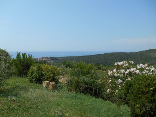 Foto Mancante