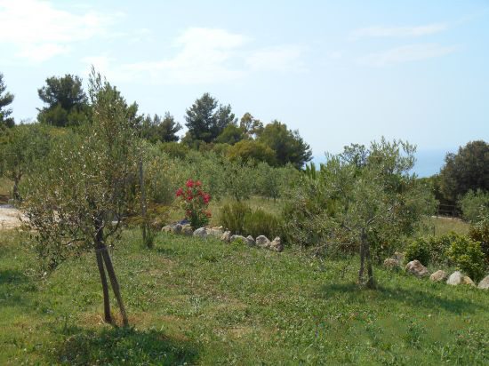 Foto Mancante