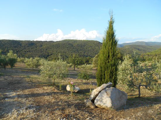 Foto Mancante