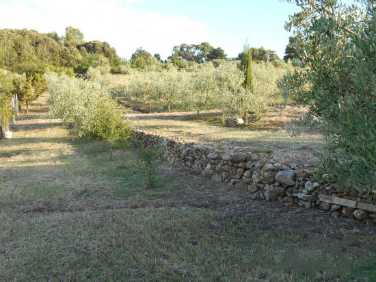 Foto Mancante