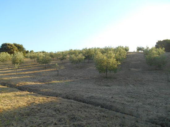 Foto Mancante