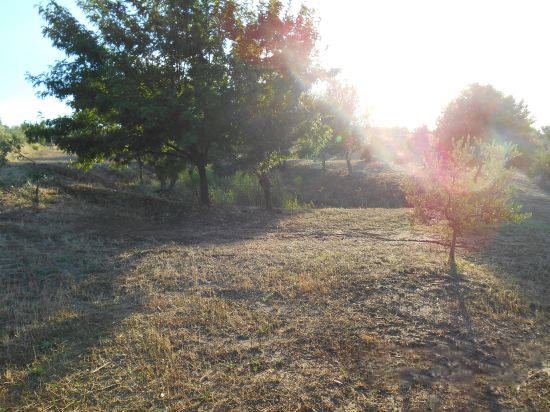 Foto Mancante