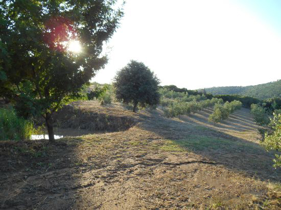 Foto Mancante