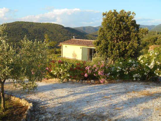 Foto Mancante
