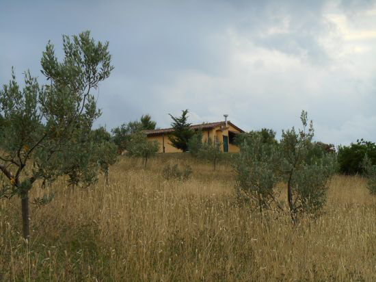 Foto Mancante
