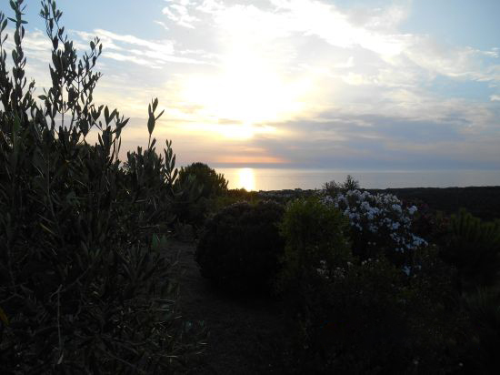 Foto Mancante