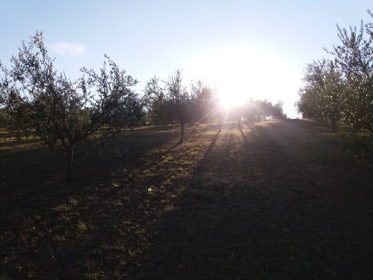 Foto Mancante