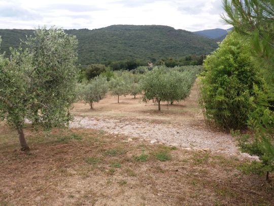 Foto Mancante