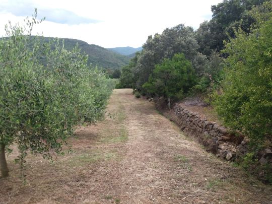 Foto Mancante
