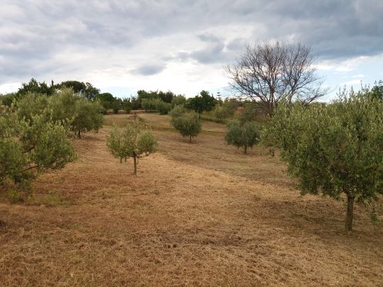 Foto Mancante