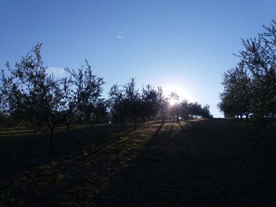 Foto Mancante